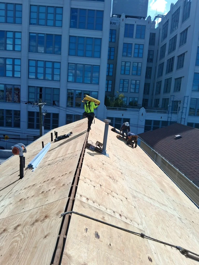 New plywood roof sheathing installed on a Jersey City hip roof